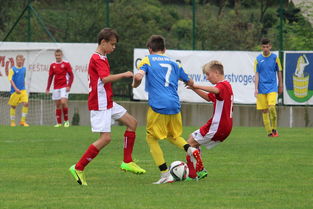 kaiyun网址-“福乐球决战开启,新都香城体育中心见证精彩”